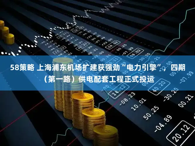 58策略 上海浦东机场扩建获强劲“电力引擎”，四期（第一路）供电配套工程正式投运