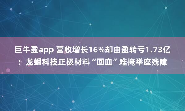 巨牛盈app 营收增长16%却由盈转亏1.73亿:龙蟠科技正极材料“回血”难掩举座残障