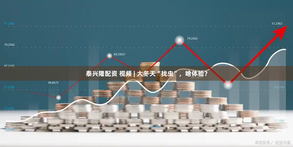 泰兴隆配资 视频 | 大冬天“找虫”，啥体验？